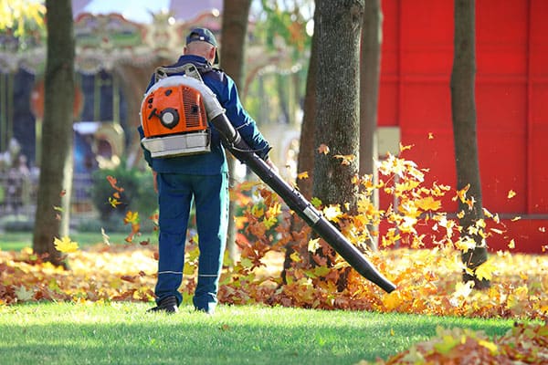 Fall Clean Up Billerica MA